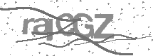 visual captcha